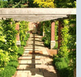 Peter Antonius Design gallery